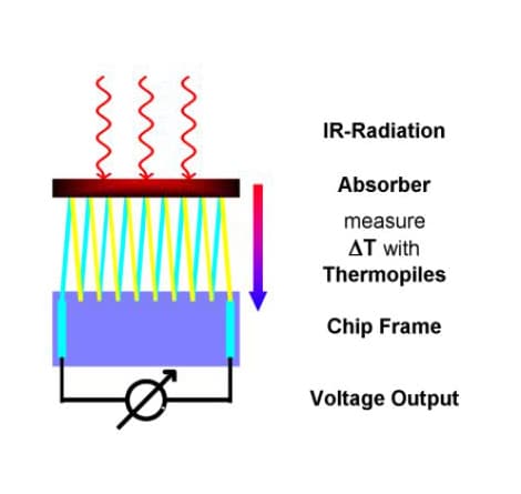 Thermophile Chip Composition